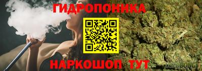 сатива Кунгур