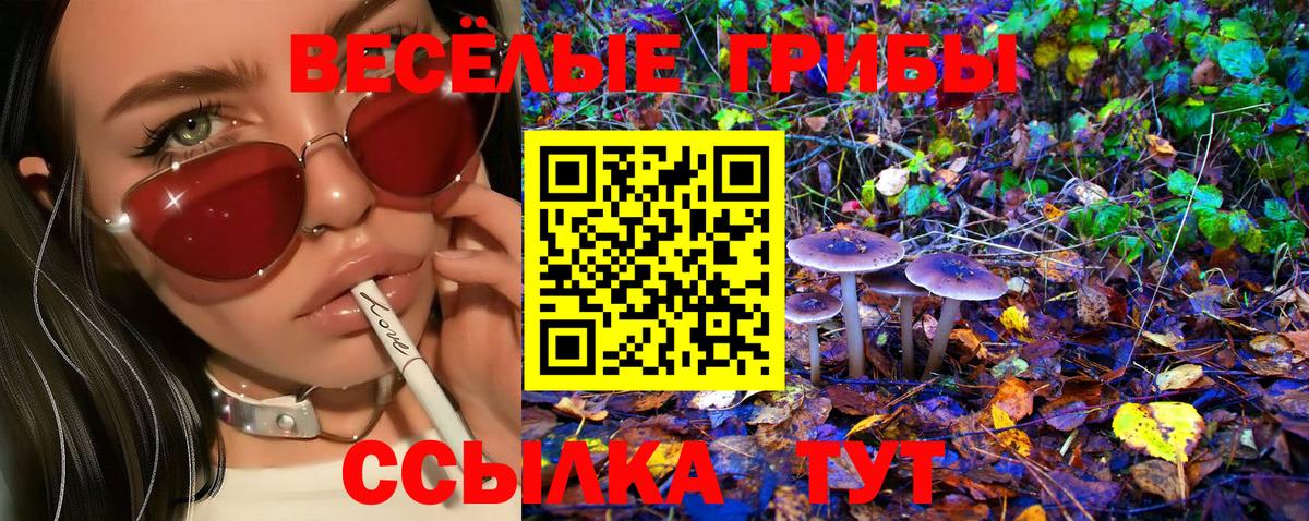 Псилоцибиновые грибы GOLDEN TEACHER Екатеринбург