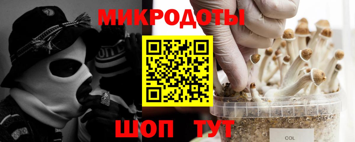 Псилоцибиновые грибы Psilocybine cubensis  Вход с VPN  Екатеринбург 
